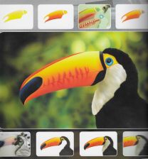 H & S Freehand Sjabloon Toucan Wildlife 410131